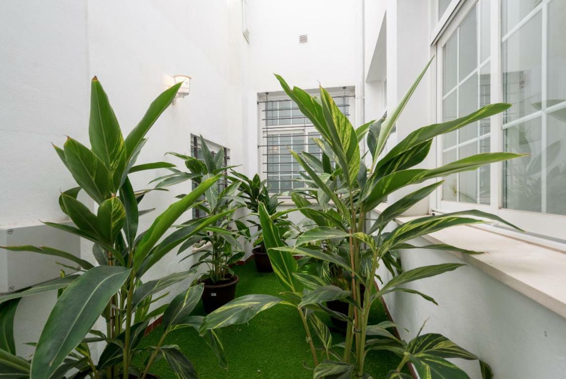 Ml1C-Prime Location Marble Apartment With Patios Malaga Exterior photo